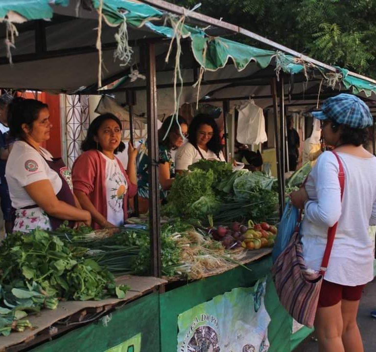 Aula Inaugural –  Produtos da sociobiodiversidade: Pesquisa – Política Pública – Mercado