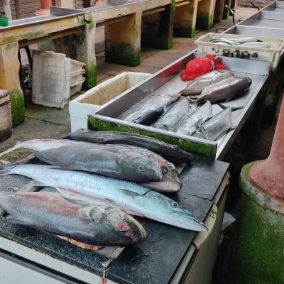 Mercado Público de Camocim 1