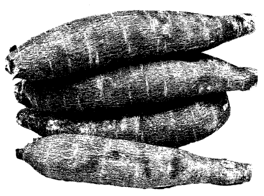Ativo 333