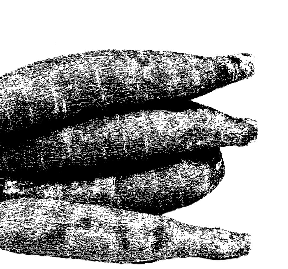 elemento3